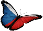 🦋