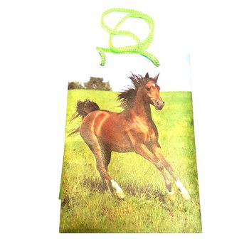 BALIC&Iacute; TA&Scaron;KY MIX ZV&Iacute;ŘATA - 12x17,5 (12 ks)