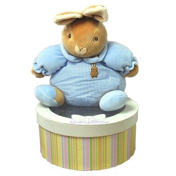 BABY BOW PLY&Scaron;OV&Aacute; HRAČKA V KRABIČCE - MODEL 2