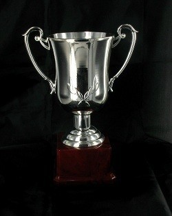 Stř&iacute;brn&yacute; Poh&aacute;r Velk&yacute; - Trofej pro V&iacute;těze