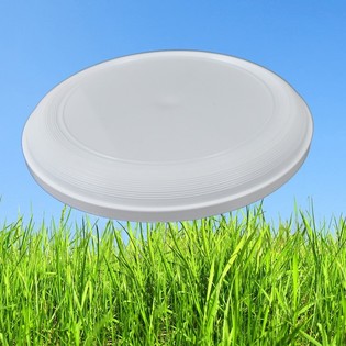 STANDARDN&Iacute; FRISBEE 21 CM (25 ks)