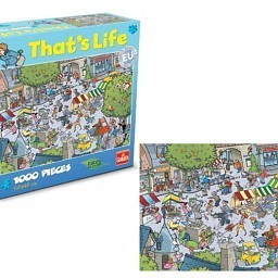 Puzzle That&rsquo;s Life - Village, 1000 d&iacute;lků (1 ks)