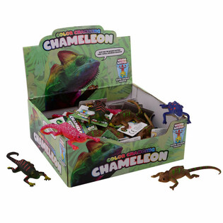Barevně Měn&iacute;c&iacute; se Chameleoni Display (48 ks)