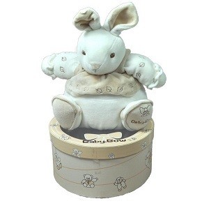 PLY&Scaron;OV&Aacute; HRAČKA V D&Aacute;RKOV&Eacute; KRABIČCE BABY BOW - MODEL 8